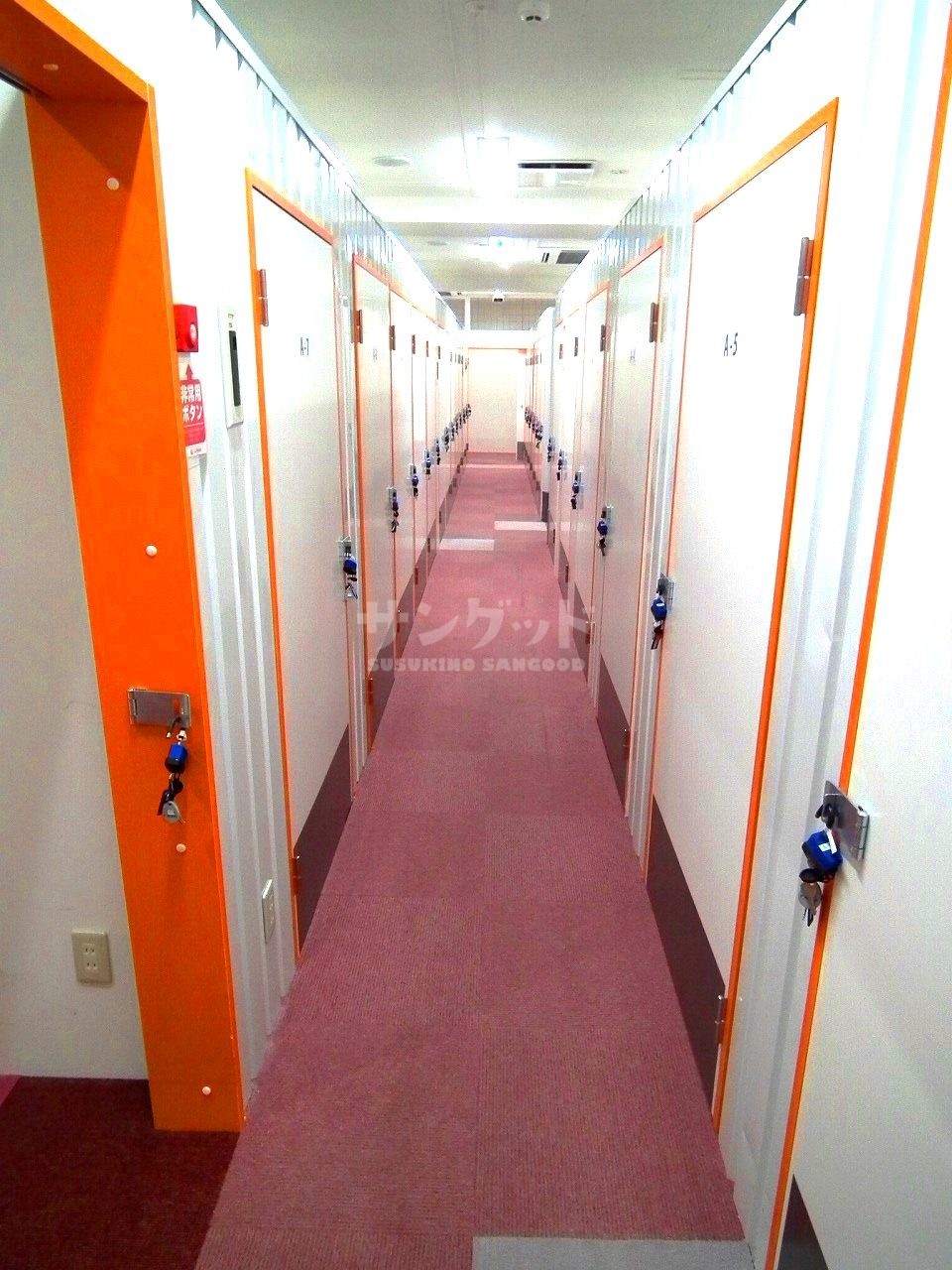 photo1